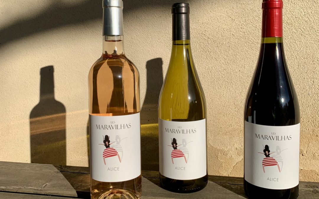 Nos vins au domaine